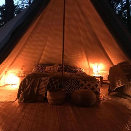 Forest Glamping Värmdö 外观 照片