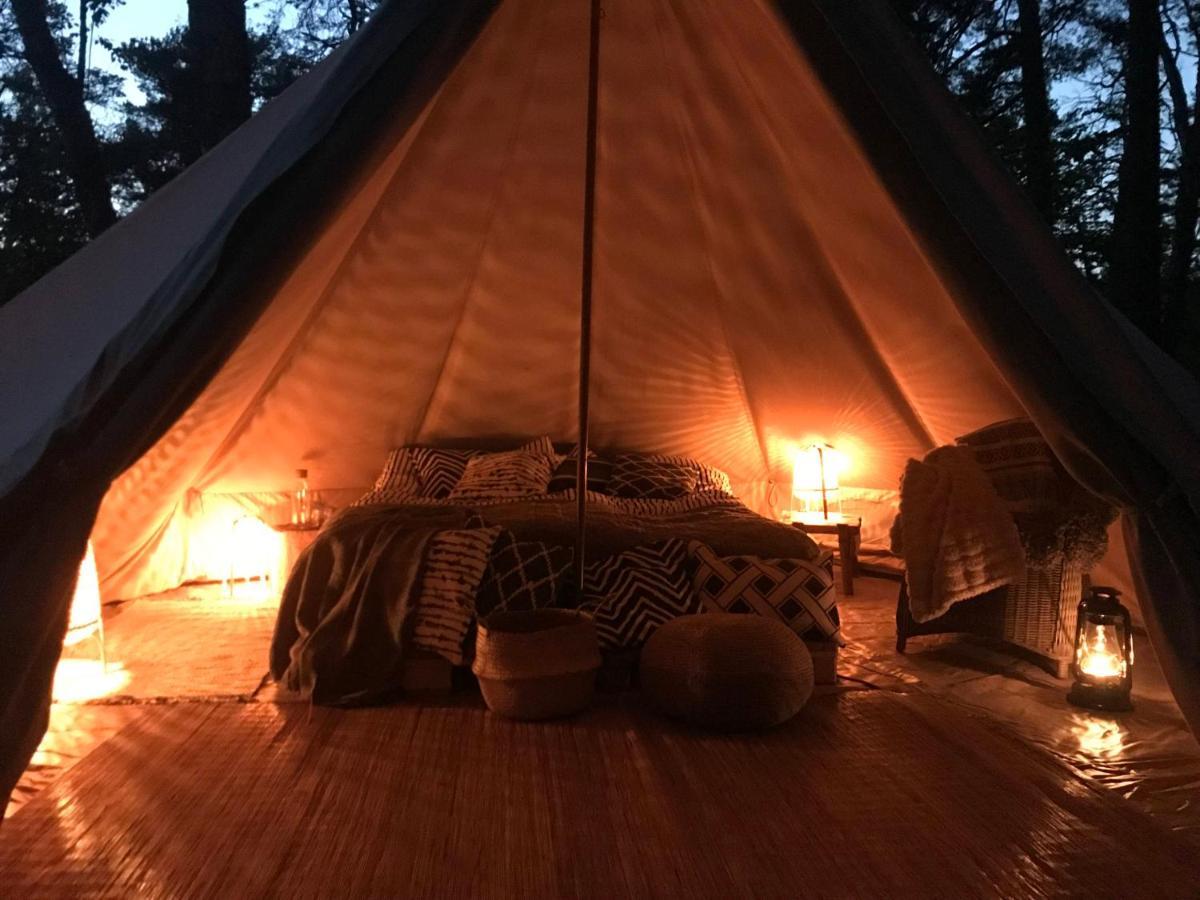 Forest Glamping Värmdö 外观 照片