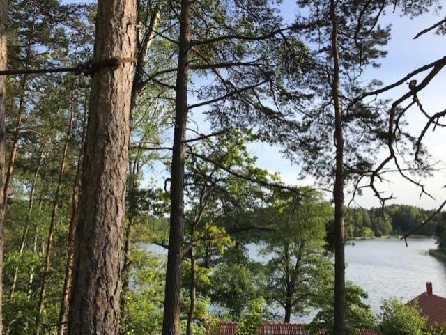 Forest Glamping Värmdö 外观 照片